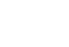 Le Caribou